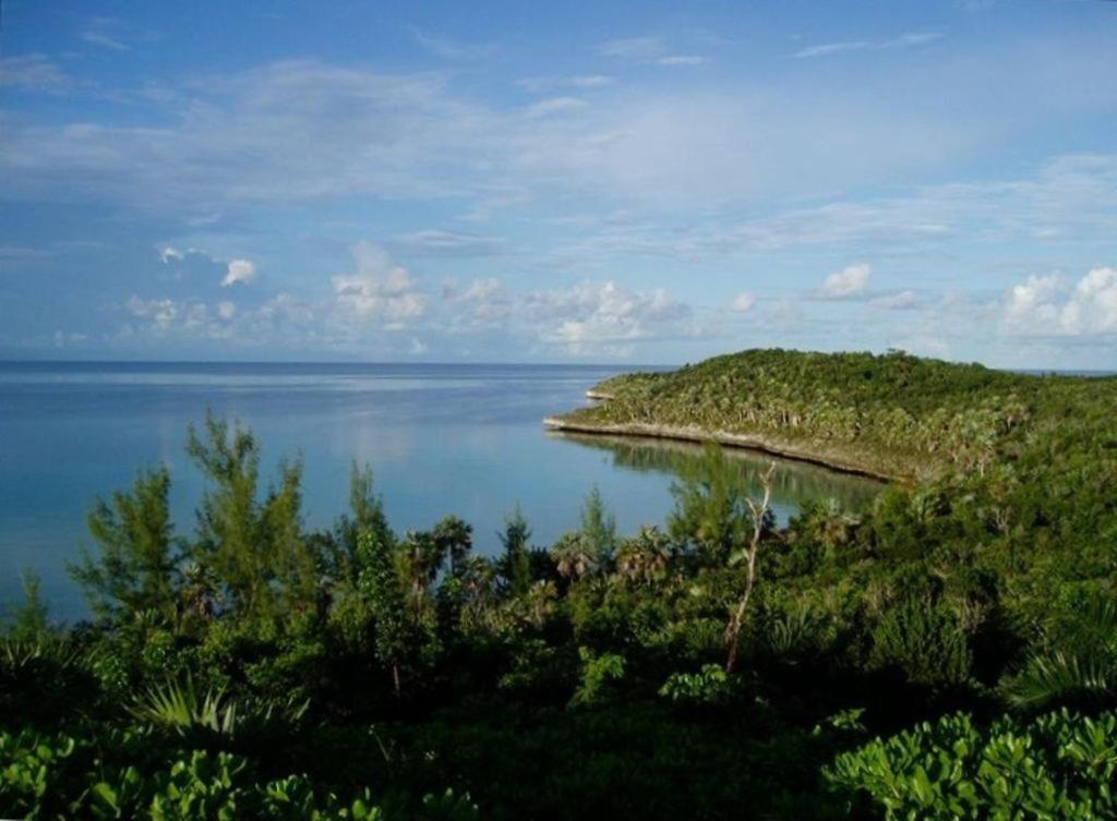 Savannah Sound Beside The Pointe Cottage المظهر الخارجي الصورة